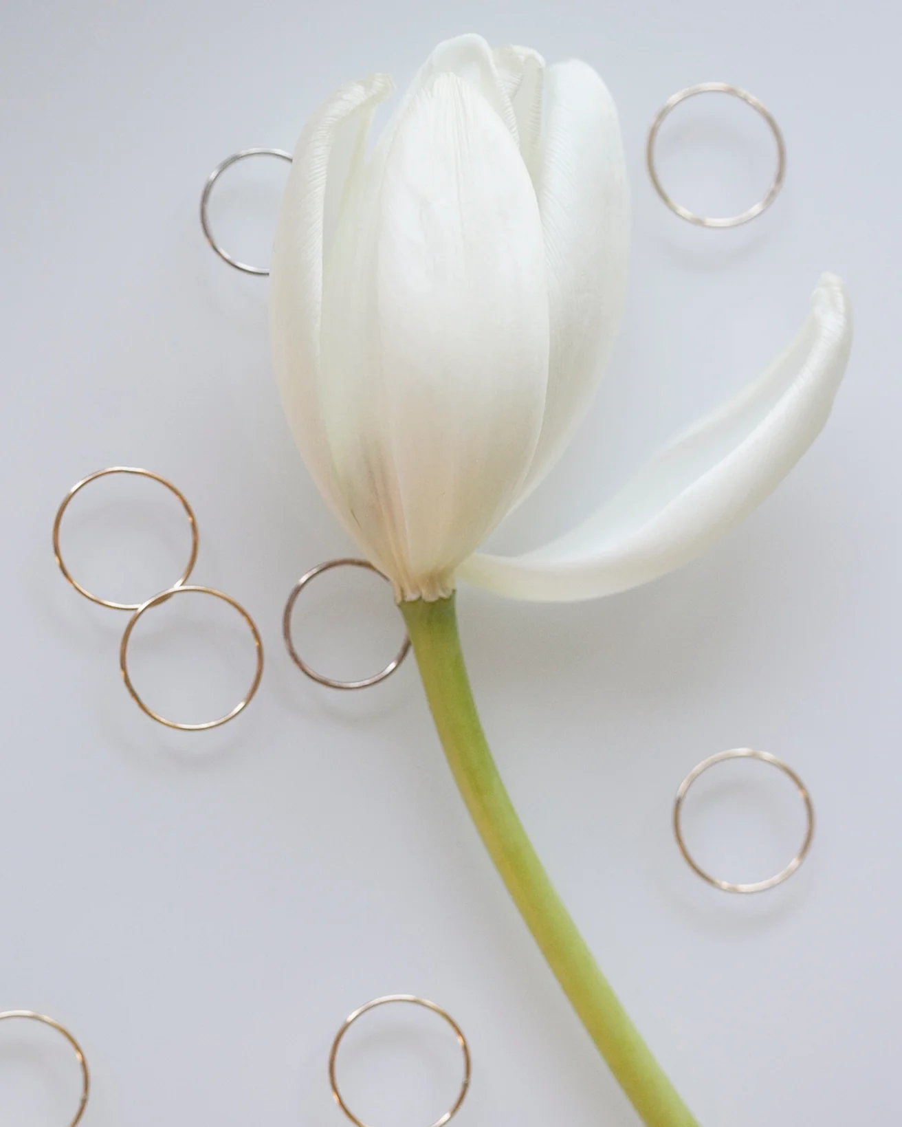 14K Dainty Ring - Image 10