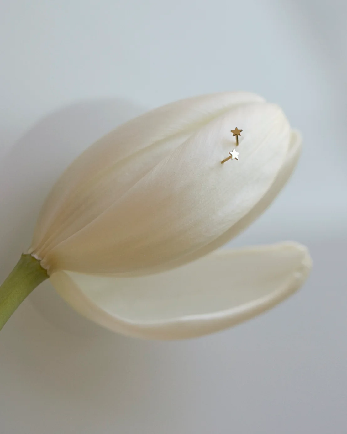 14K Mini Star Stud Earrings - Image 12