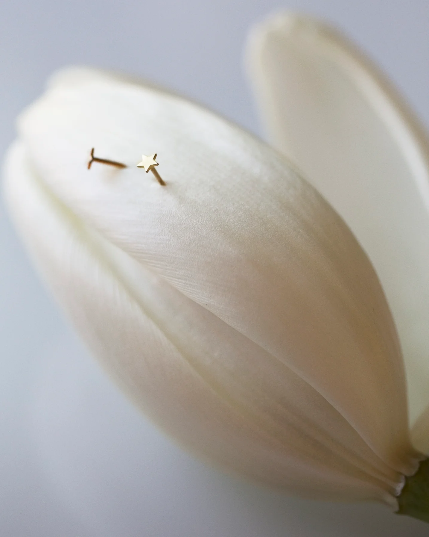 14K Mini Star Stud Earrings - Image 6