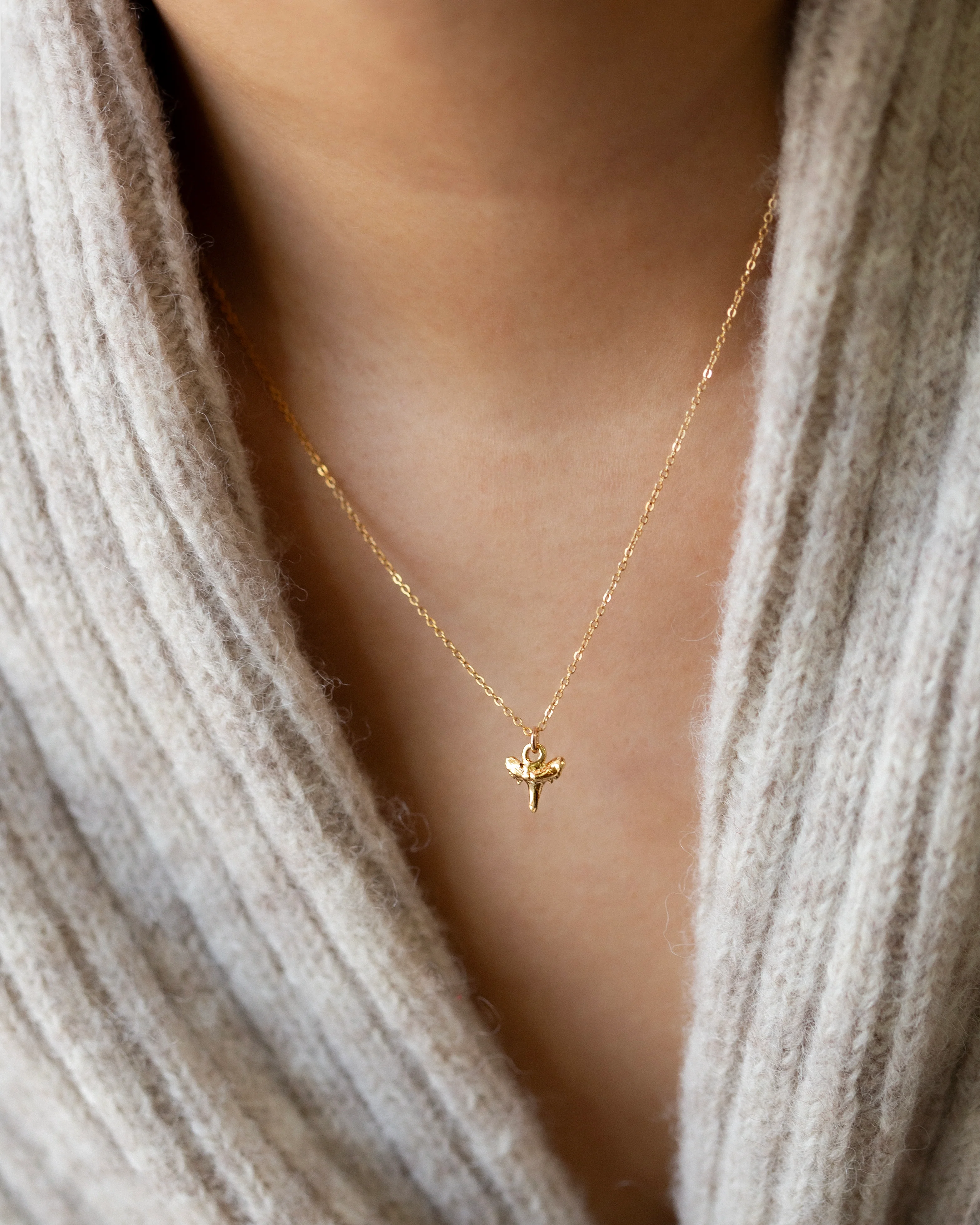 Shark tooth Necklace - Image 2