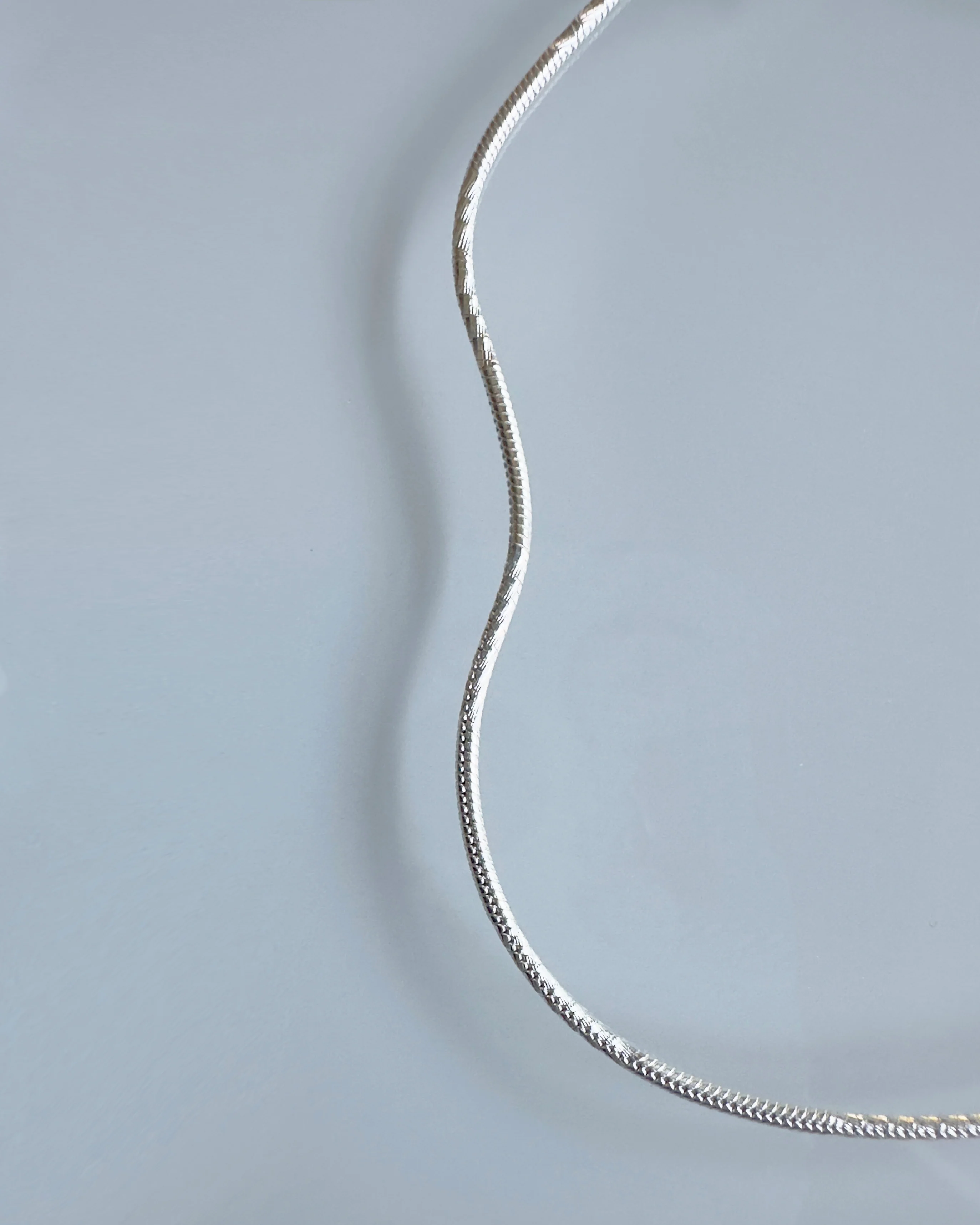 Snake Chain Anklet - Image 2