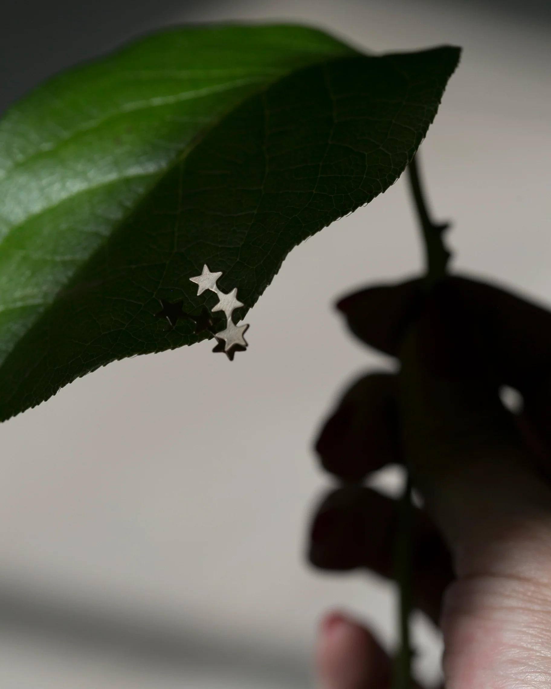 14k Star Climber Earrings - Image 2