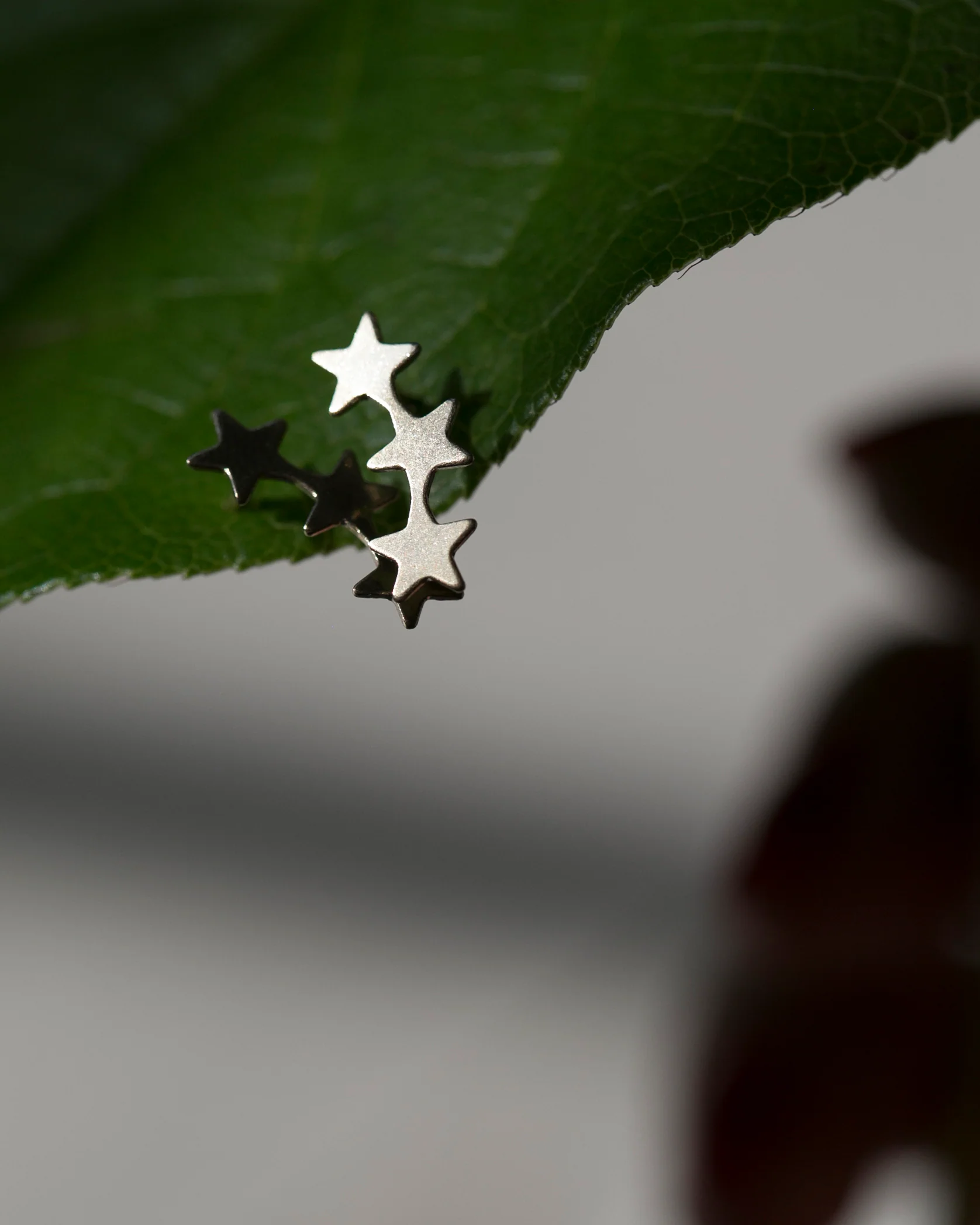 14k Star Climber Earrings - Image 3